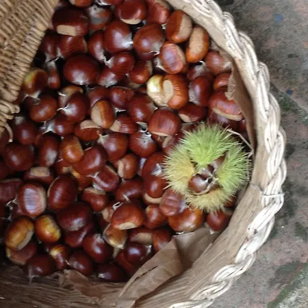 Casavacanze Ciaspole E Uva *